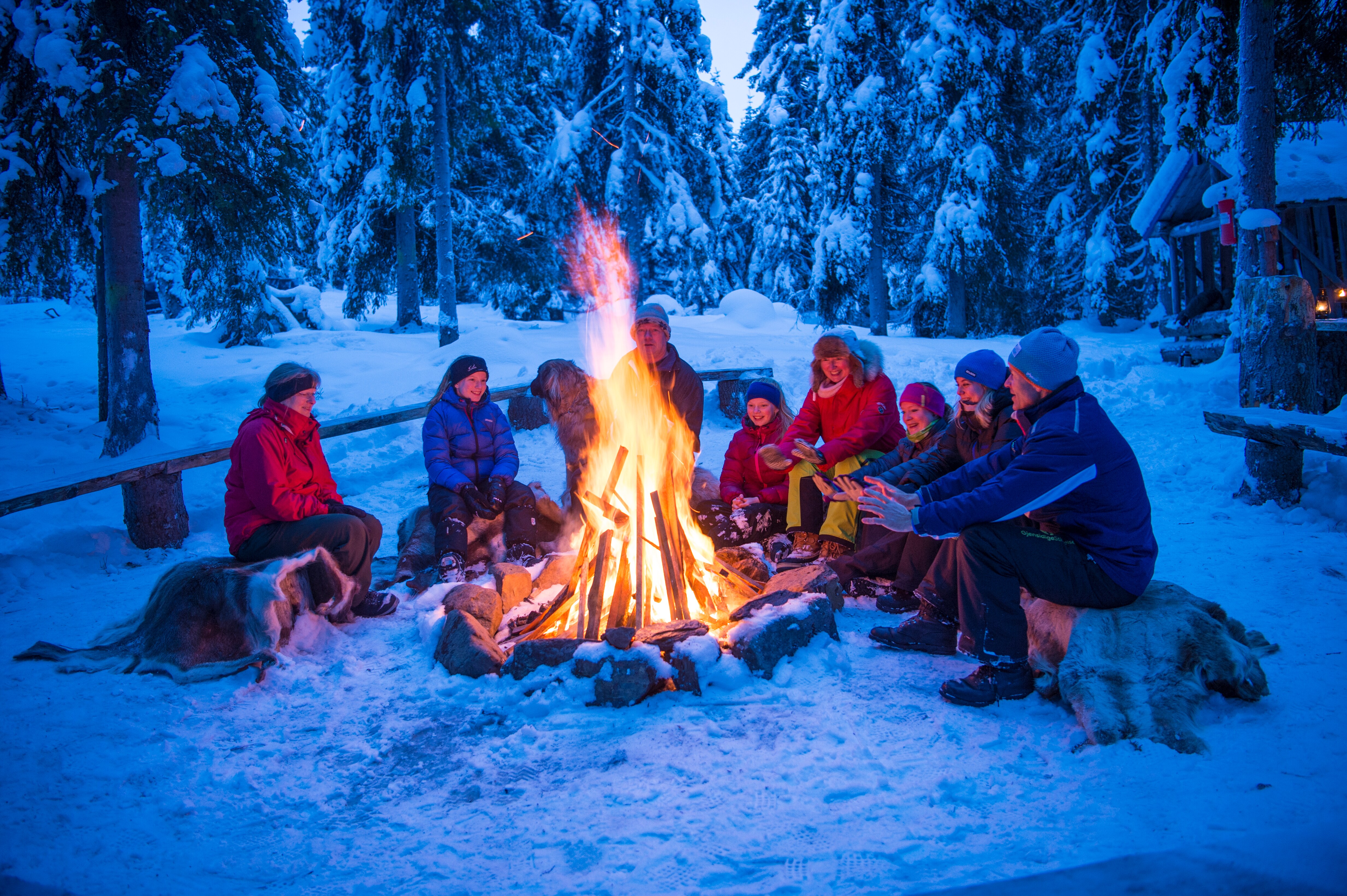 Wie man ein Lagerfeuer macht